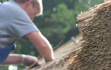 professional Teversal thatchers