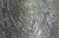 Teversal fibreglass roof work